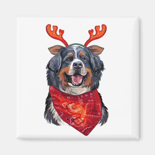 Christmas Bernese Mountain Dog Magnet (Front)