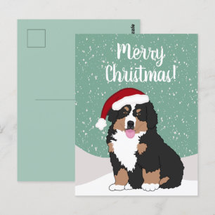 Christmas Bernese mountain Dog  Postcard