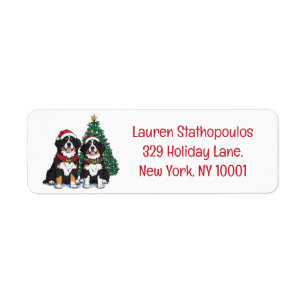 Christmas Bernese Mountain Dogs