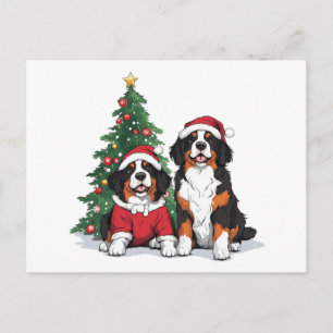 Christmas Bernese Mountain Dogs Postcard