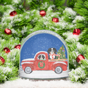 Christmas Bernese Mountain Dogs Red Truck Snowglobe
