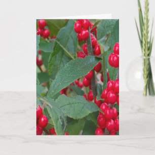 Christmas Berries Greens Holidays Red White Colour Holiday Card