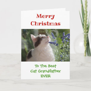 Christmas Best Cat Grandfather Ever Photo Card