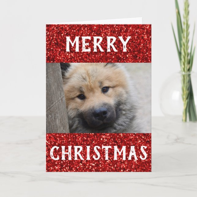 Christmas Best Dog Dad Ever Pet Photo Card (Front)