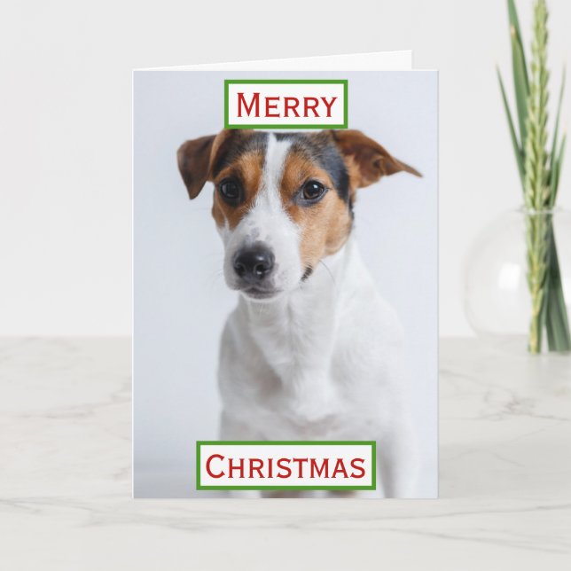 Christmas Best Dog Dad Ever Pet Photo Card (Front)