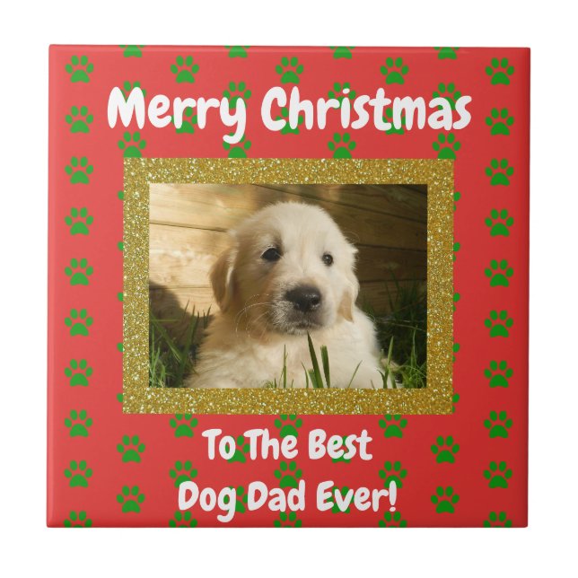 Christmas Best Dog Dad Ever Pet Photo Tile (Front)