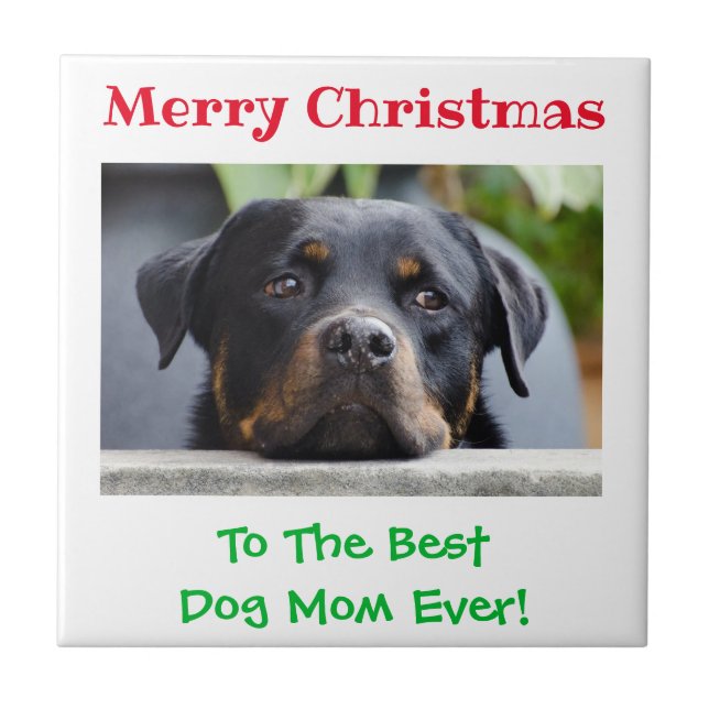 Christmas Best Dog Mum Ever Pet Photo Tile (Front)