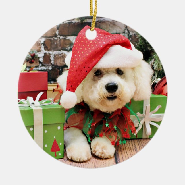Christmas - Bichon Frise - Daisy Ceramic Tree Decoration (Front)