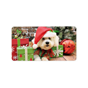 Christmas - Bichon Frise - Daisy Label