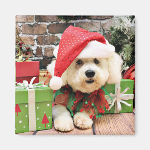 Christmas - Bichon Frise - Daisy Magnet