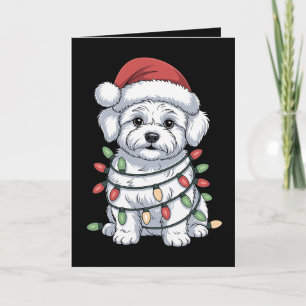 Christmas Bichon Frise Dog Santa Hat Xmas Lights Card