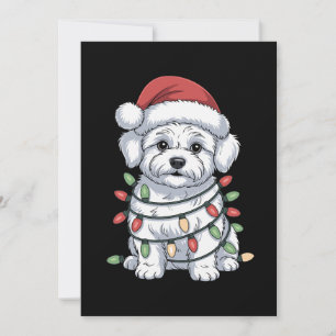Christmas Bichon Frise Dog Santa Hat Xmas Lights Invitation