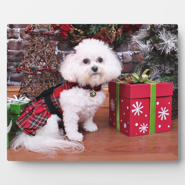Christmas - Bichon Frise - Mia Plaque (Front)