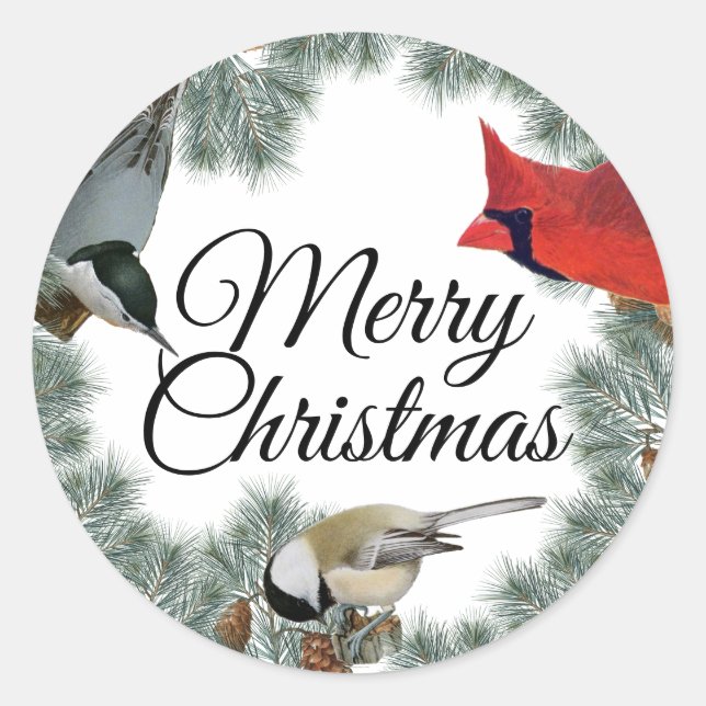 Christmas Bird Cardinal Nuthatch Chickadee Pine  Classic Round Sticker (Front)