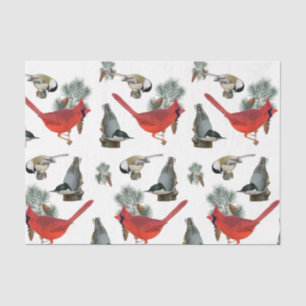 Christmas Bird Cardinal Nuthatch Chickadee Snow  Tissue Paper