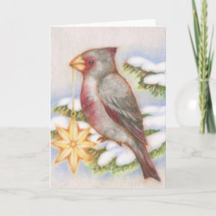 Christmas Bird Desert Cardinal Star Ornament Card
