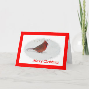 Christmas Bird Holiday Card