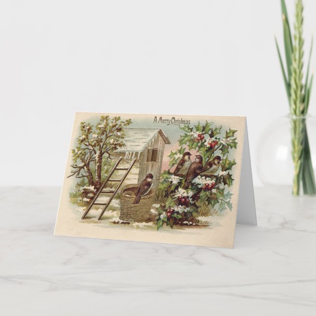 Christmas Bird Holly Snow Ladder Harvest Holiday Card (Front)
