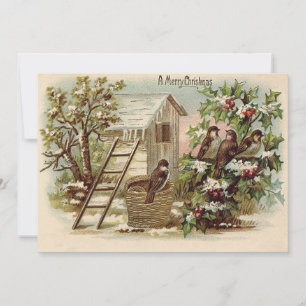 Christmas Bird Holly Snow Ladder Harvest Invitation
