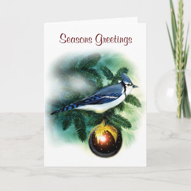 Christmas Bird Pretty Blue Jay Greeting Card (Front)