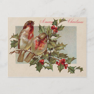 Christmas Bird Songbird Holly Snow Holiday Postcard