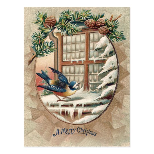 Christmas Bird Tree Pine Cone Postcard