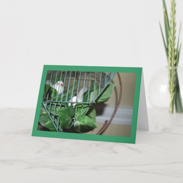 Christmas Birds Holiday Card (Front)