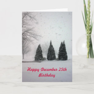 Christmas Birthday 6 - Gentle Snow Holiday Card