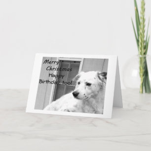 CHRISTMAS BIRTHDAY WISHES COME TRUE HOLIDAY CARD