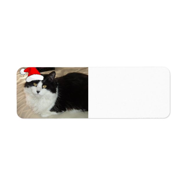 Christmas Black and White Cat (Front)