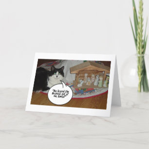 Christmas Black and White Cat Humour Holiday Card