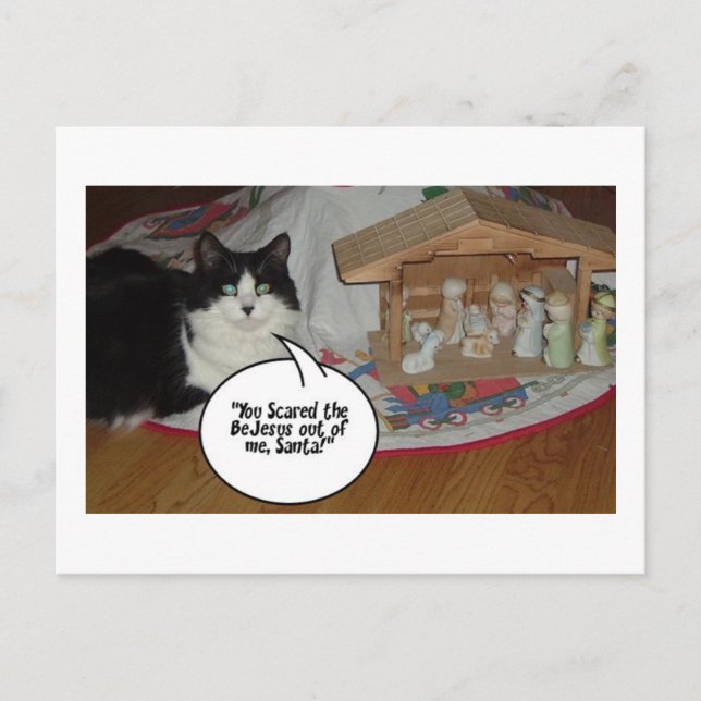 Christmas Black and White Cat Humour Holiday Postcard (Front)