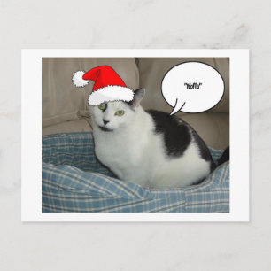 Christmas Black and White Kitten Holiday Postcard