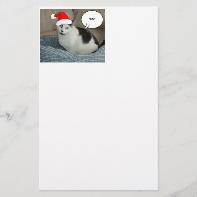 Christmas Black and White Kitten Stationery (Front)