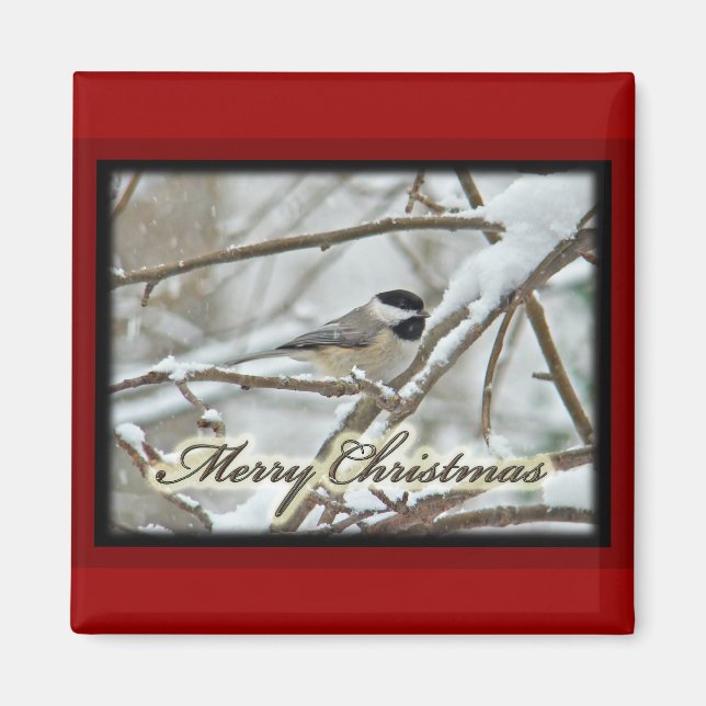 Christmas Black Capped Chickadee in Snow Magnet (Front)