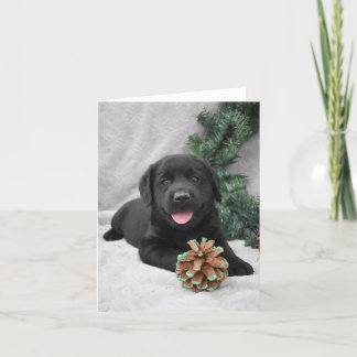 Christmas black Labrador Retriever puppy Thank You Card