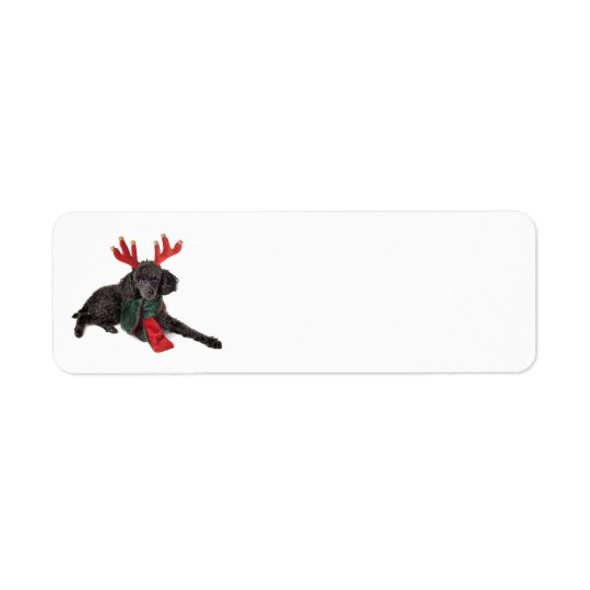 Christmas Black Toy Poodle Dog Dressed as Reindeer Return Address Label