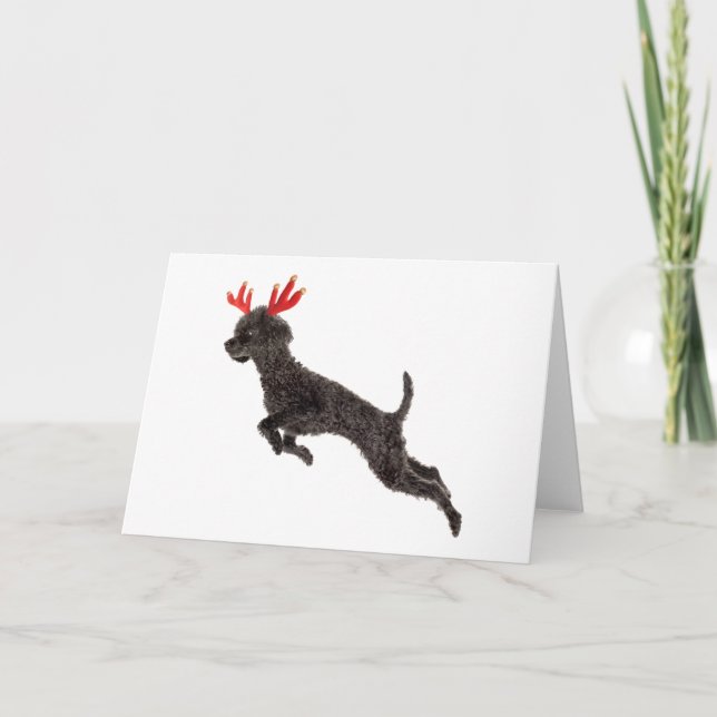 Christmas Black Toy Poodle Dog Reindeer Antlers Holiday Card (Front)
