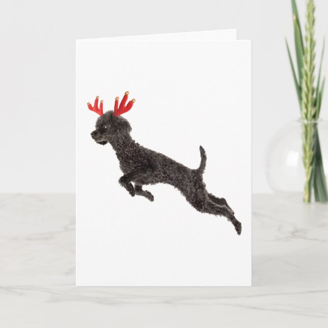 Christmas Black Toy Poodle Dog Reindeer Antlers Holiday Card (Front)