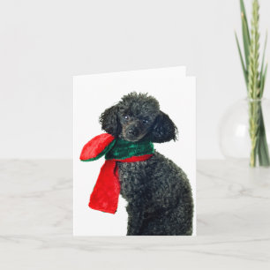 Christmas Black Toy Poodle Dog Reindeer Red Scarf Holiday Card