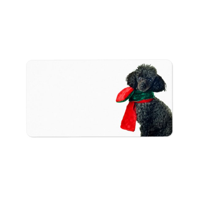 Christmas Black Toy Poodle Dog Reindeer Red Scarf Label (Front)