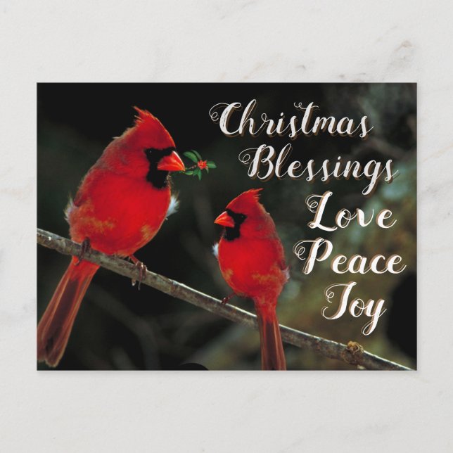 Christmas Blessings, Love Peace Joy, Cardinals Postcard (Front)