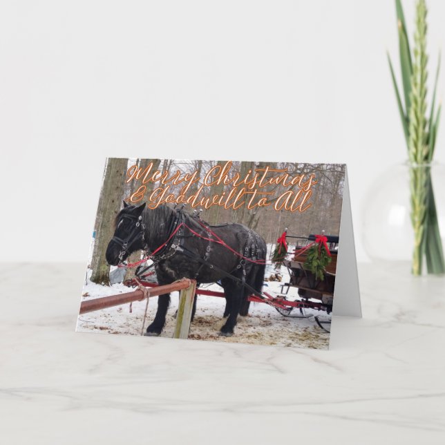 Christmas Blessings of Hope, Joy, Peace and Love  Thank You Card (Front)