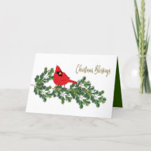 Christmas Blessings  Red Cardinal on Pine Branch
