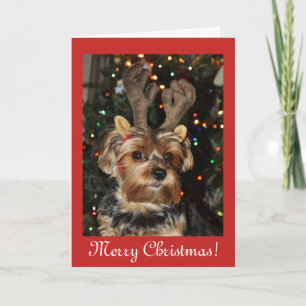 Christmas blessings,Yorkshire terrier dog puppy Holiday Card
