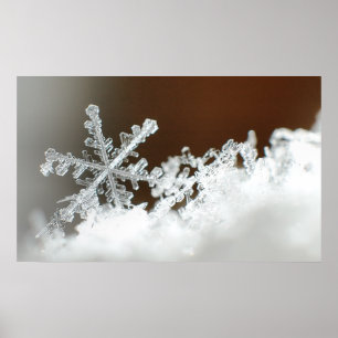 Christmas Blizzard 2009 Poster