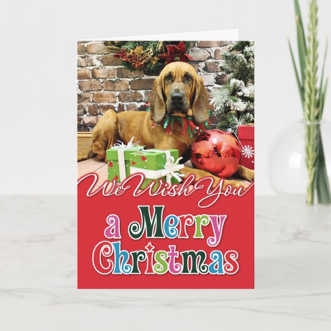 Christmas - Bloodhound - Penney Holiday Card (Front)