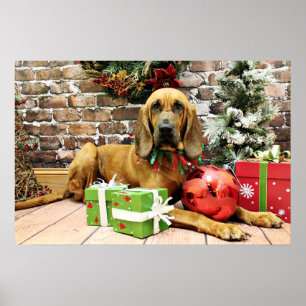 Christmas - Bloodhound - Penney Poster