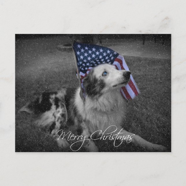Christmas Blue Eyed American Flag Dog Postcard (Front)
