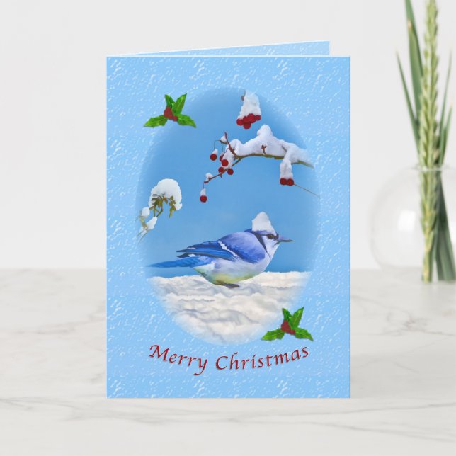 Christmas, Blue Jay Bird and Snow Holiday Card (Front)